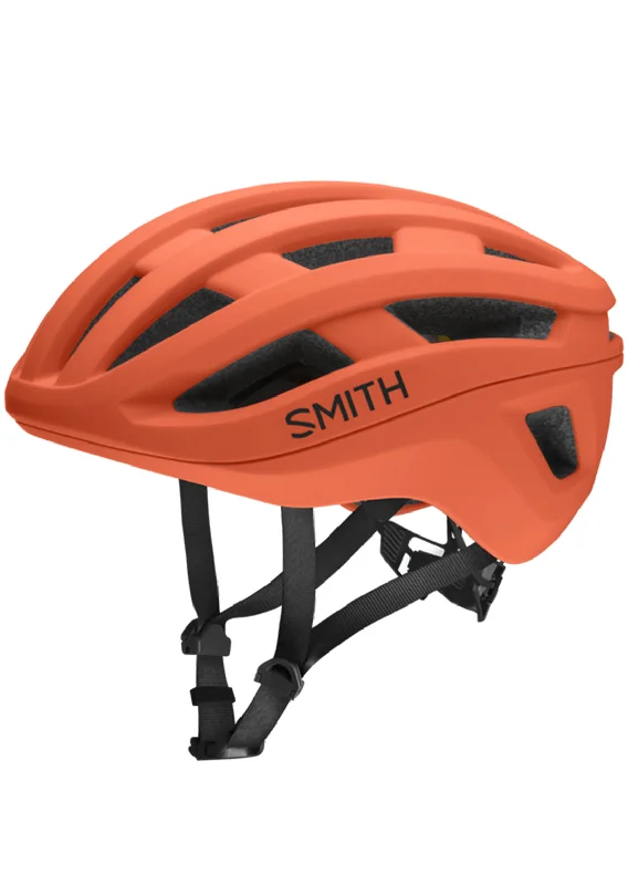 bicycle cleaner precision-Smith Persist MIPS Bike Helmet