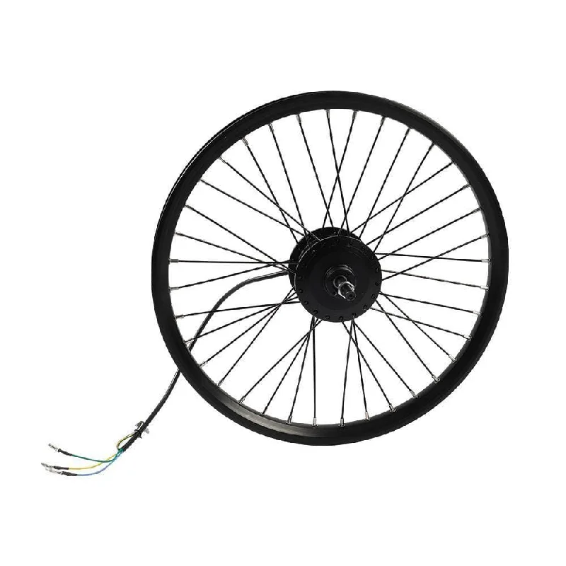 bicycle saddle alignment-Fiido Electric Bike Rear Wheel Assembly for D11